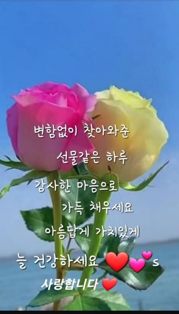0d0d4e4b3b155dc589384a3c7b7fc1a9_1687049591_8605.jpg