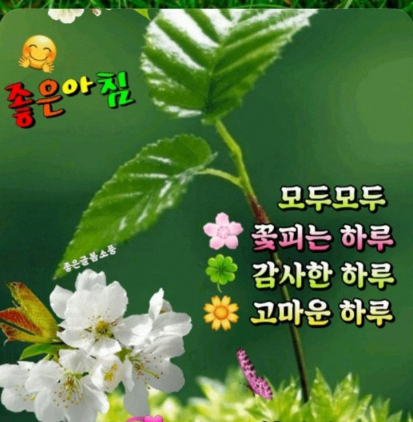 0d0d4e4b3b155dc589384a3c7b7fc1a9_1687049733_1381.jpg